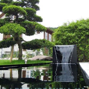 Gartenbecken 044